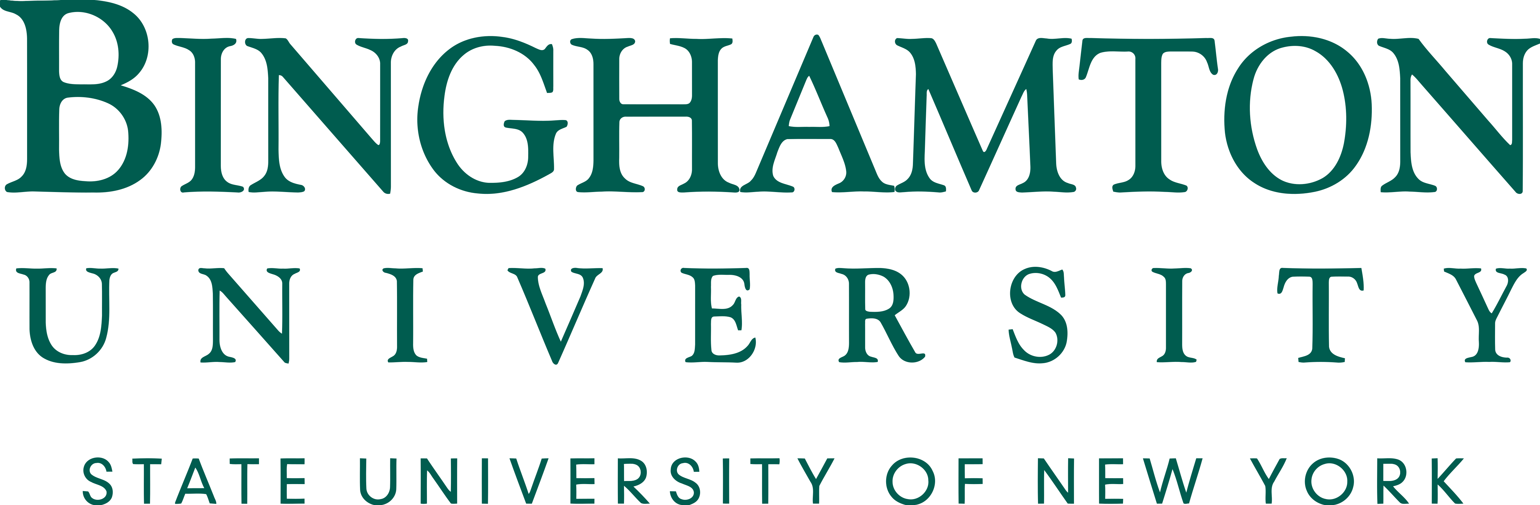 Binghamton University